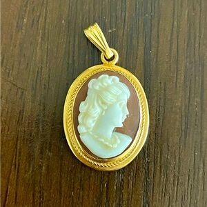 Vintage 14K Gold and Brown Cameo Pendant